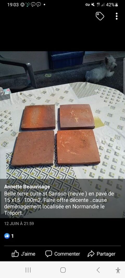 Tomettes carrées 40 Saint-Pierre-en-Val (76)