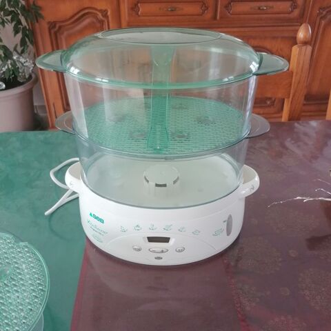 CUIT VAPEUR 15 Pont-Sainte-Marie (10)