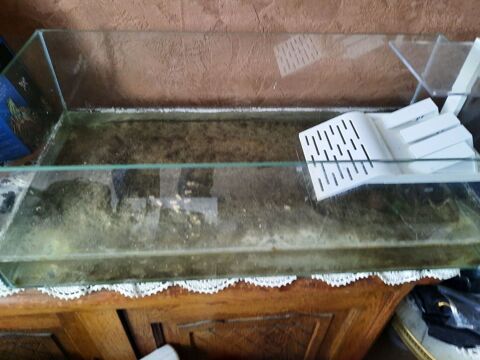 Tortue d'eau 50 02200 Soissons