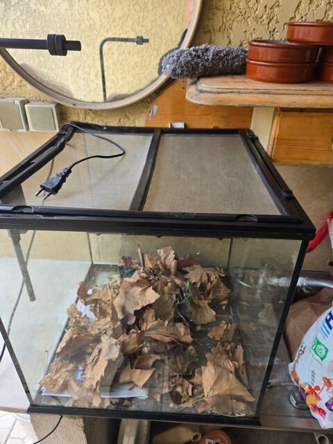 Terarium pour tortue ou autres,bon &eacute;tat
Avec lampe chauffant 70 77500 Chelles