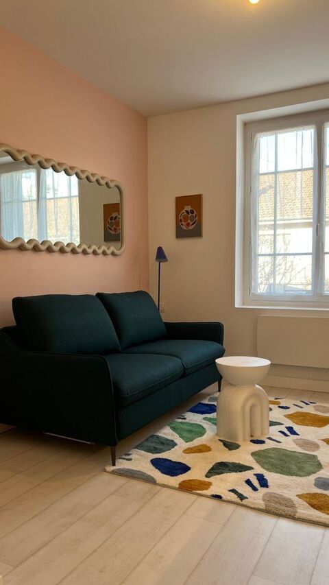   Charmant studio meubl� NEUF Jean Mac� Appartement - 1 pi�ce(s) - 17 m�