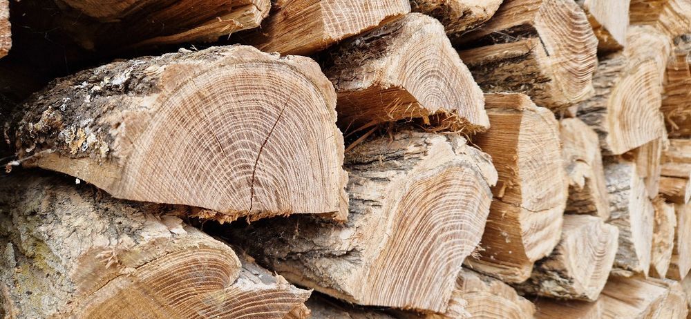 Bois de chauffage Acacia Livrer Jardin