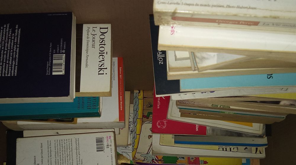 Lot de 100 livres Livres et BD