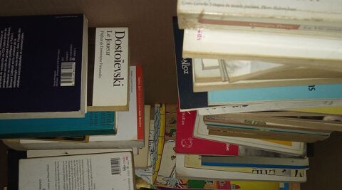 Lot de 100 livres 50 Audincourt (25)