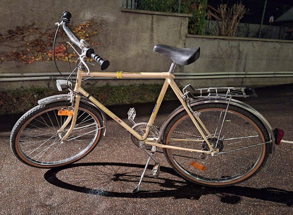 V&eacute;lo Deschamps &eacute;tat neuf Vélos