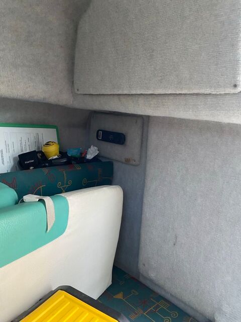 Bateaux à moteur Pêche-promenade 1999 occasion Pourrières 83910