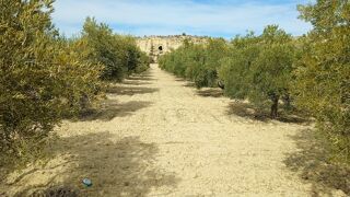  Terrain � vendre 2500 m� Orihuela, alicante, espa�a