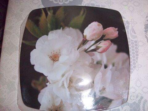 assiettes plastique 3 Bossay-sur-Claise (37)