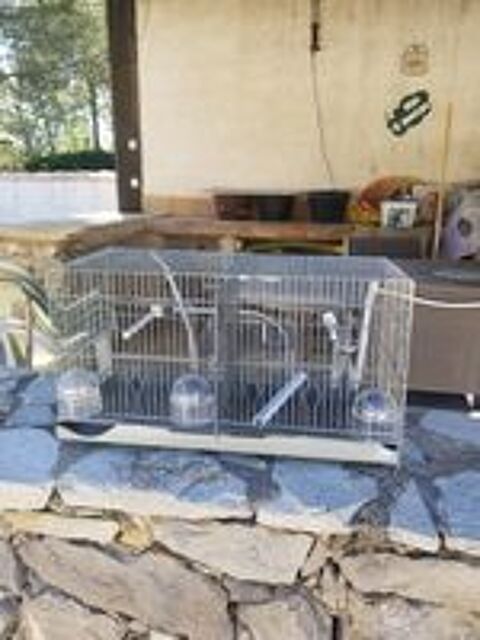   Cage canari elevage 