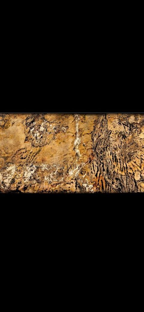 feuille de pierre rev&ecirc;tement 0 38000 Grenoble