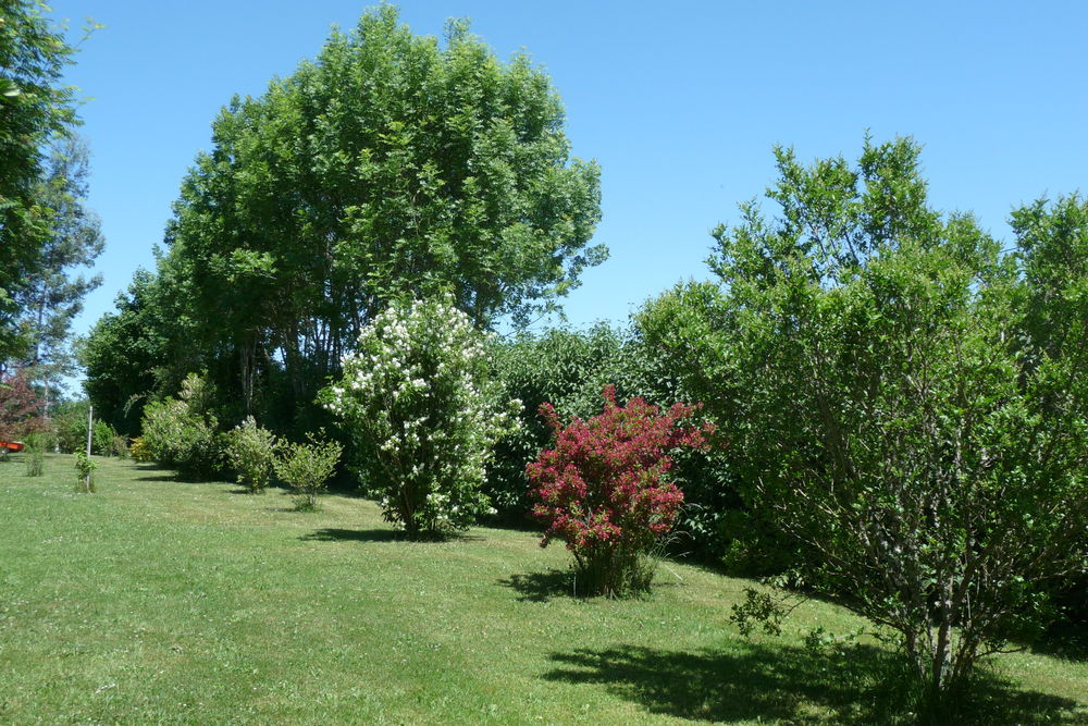 Vente Maison Superbe Propriété avec Parc arboré et dépendances Aubusson