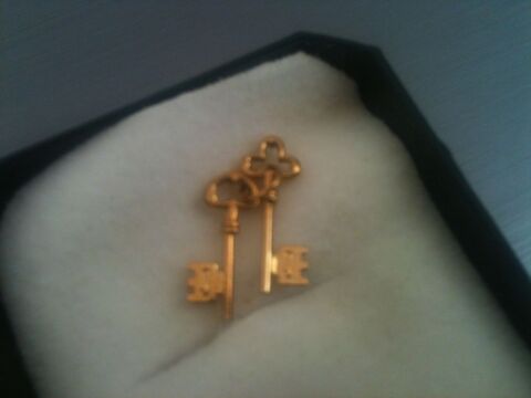 2 breloques clefs en or
100 Rouen (76)