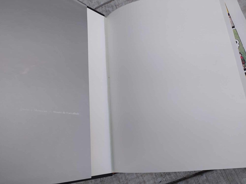 Livre Le Portugal en Bulles un Si&egrave;cle de Bandes Dessin&eacute;es 
Livres et BD