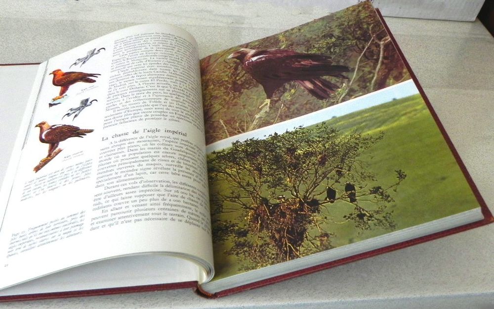 LA FAUNE tome 5, Eurasie et Am&eacute;rique du nord Livres et BD