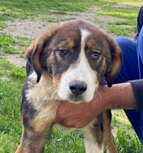 BELLE 320 27620 Gasny