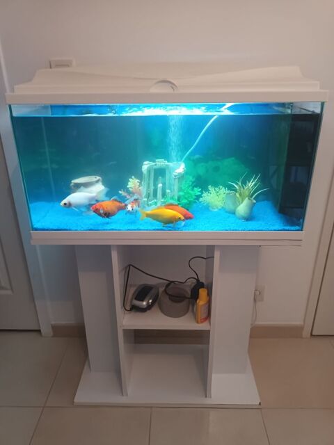 Aquarium 100 44420 La turballe
