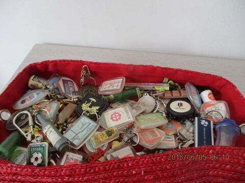 portes clefs 10 Castres (81)