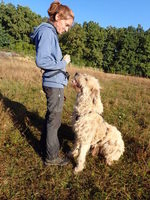   Darren à l'adoption 