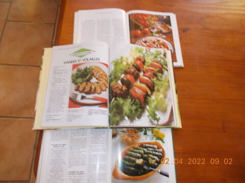 livre de cuisine ,jardinage et sur le mozambique 1 Miniac-Morvan (35)