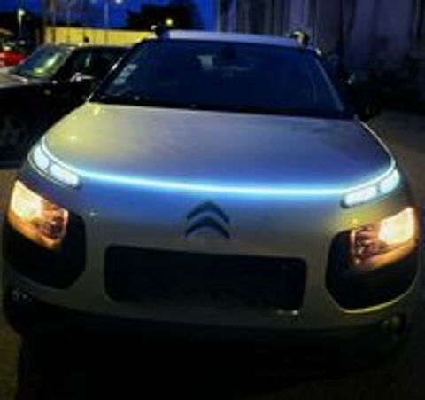 C4 cactus C4 Cactus BlueHDi 100 Business 2015 occasion 69300 Caluire-et-Cuire