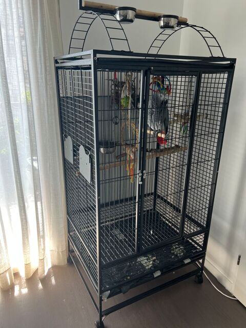 Cage perroquet 1500 75016 Paris