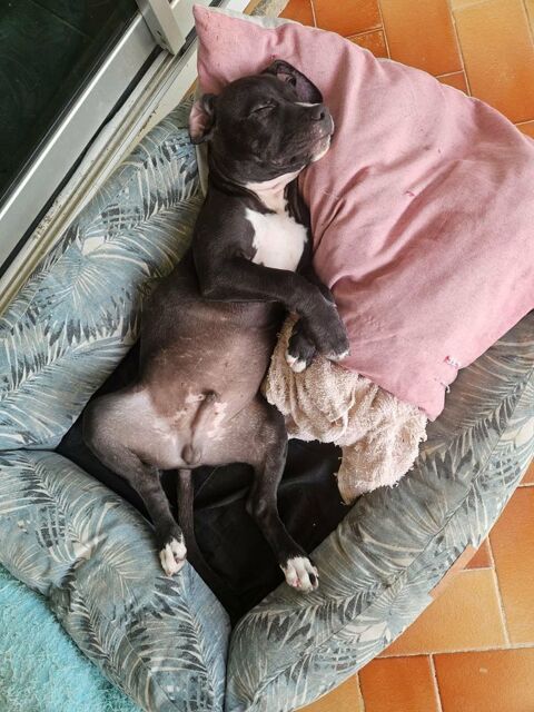 Snoopy le petit coeur tout doux 300 27320 Nonancourt