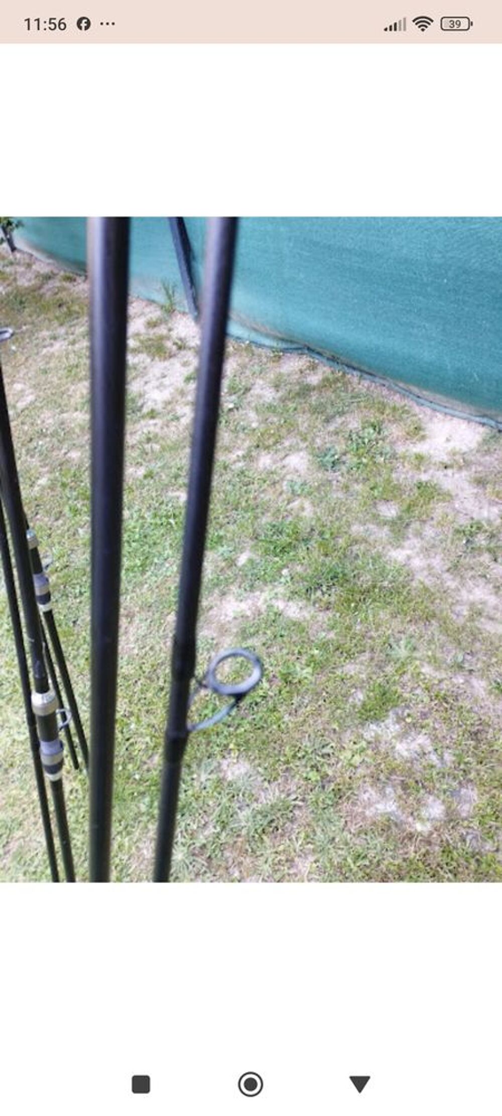 canne a carpe Sports