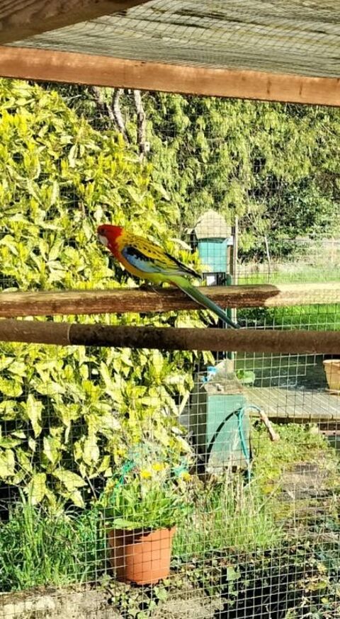 Omnicolore  30 17510 Villiers-couture