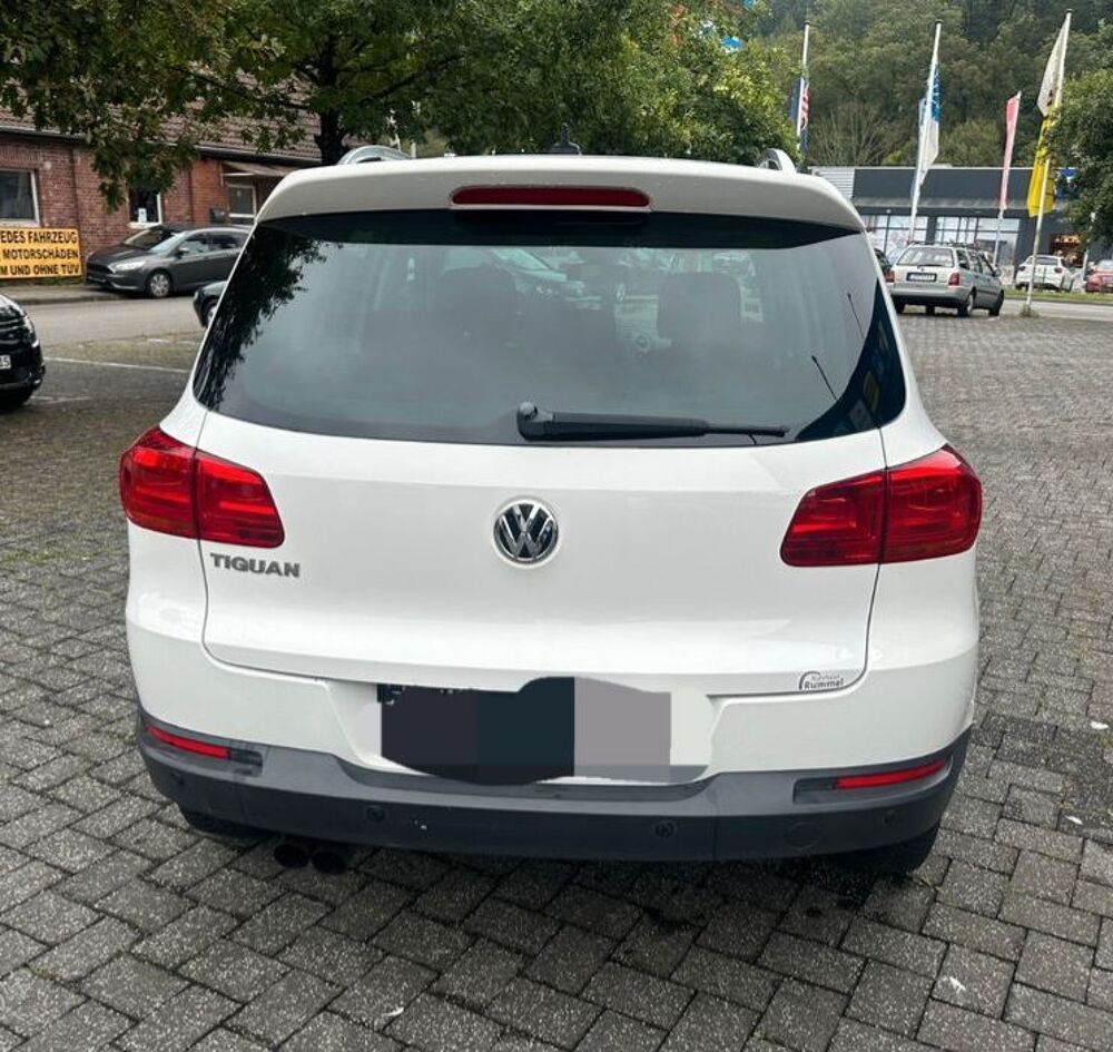 Tiguan 2014 occasion 20260 Calvi