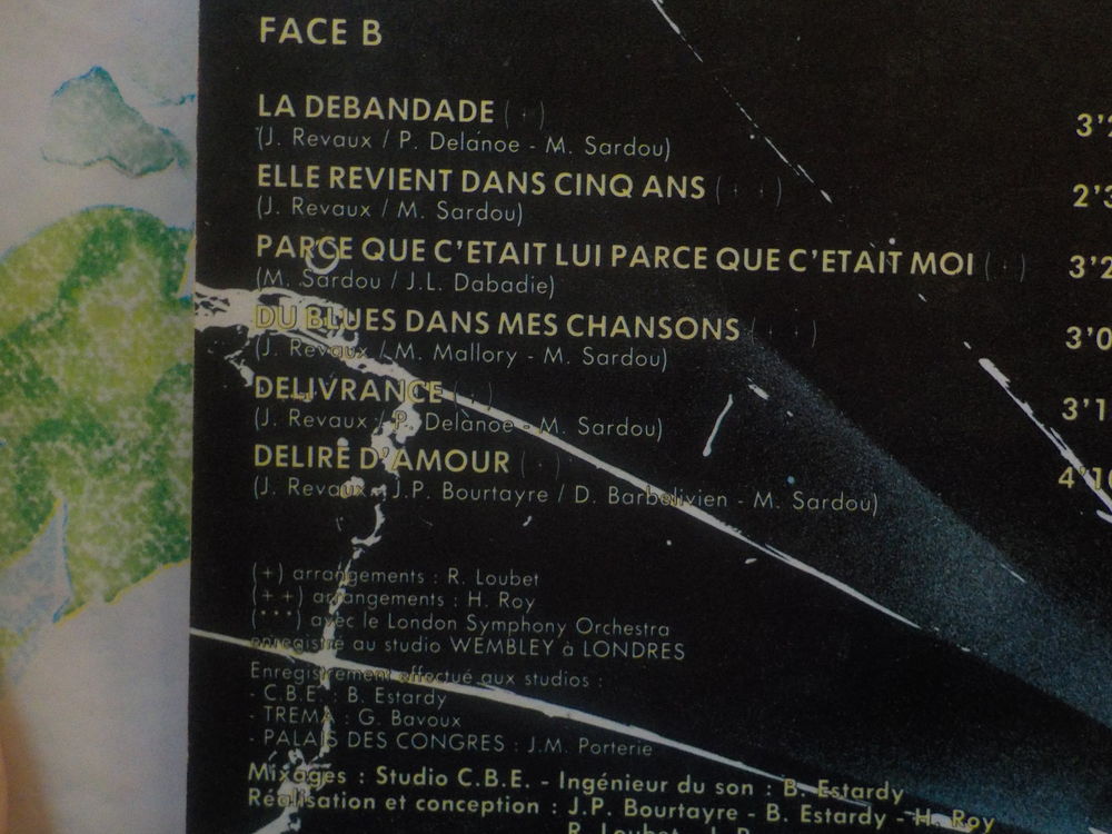 VYNIL 33T MICHEL SARDOU Album IO DOMENICO 1985 CD et vinyles