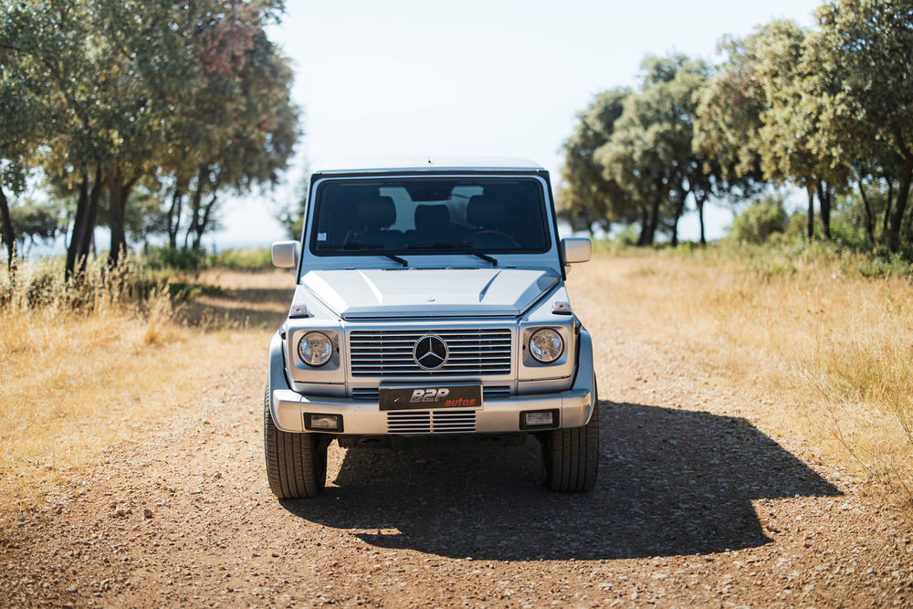 Classe G G Long 400 CDI A 2002 occasion 30132 Caissargues