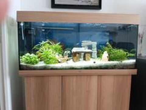   AQUARIUM + MEUBLE 