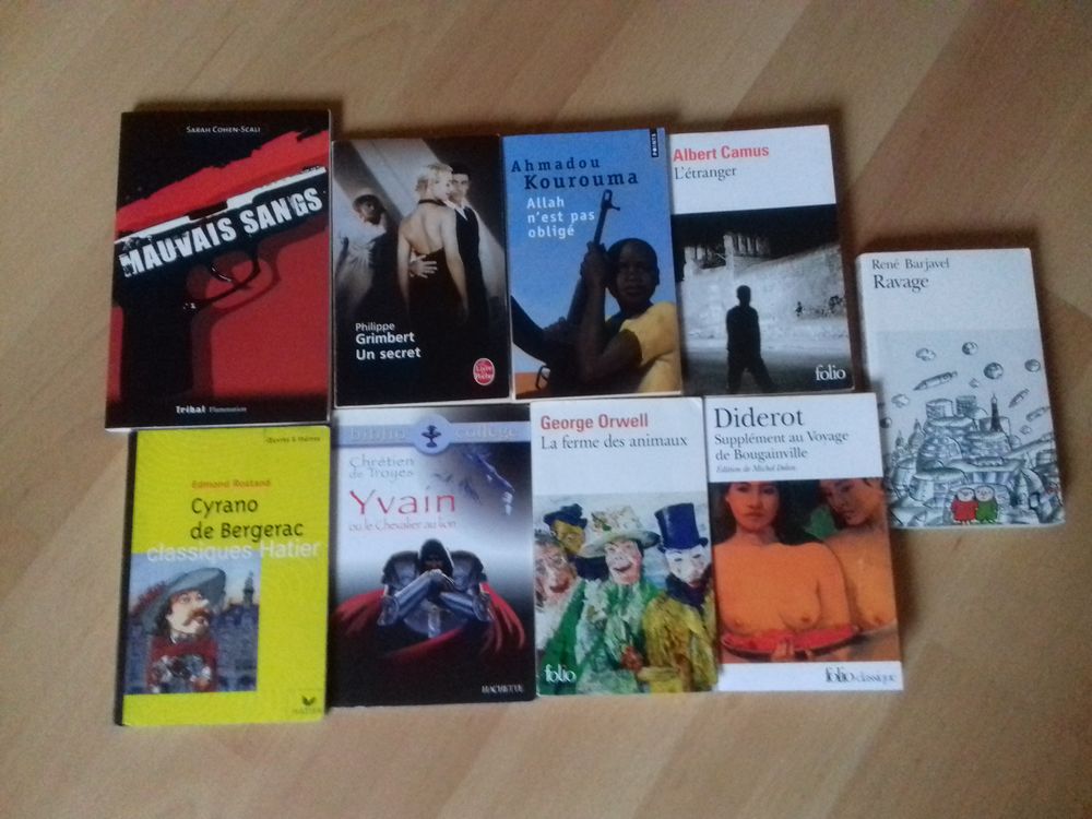 Livres de Poche Coll&egrave;ge - Lyc&eacute;e Livres et BD