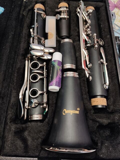 clarinette cherrystone neuve 90 Rosny-sur-Seine (78)