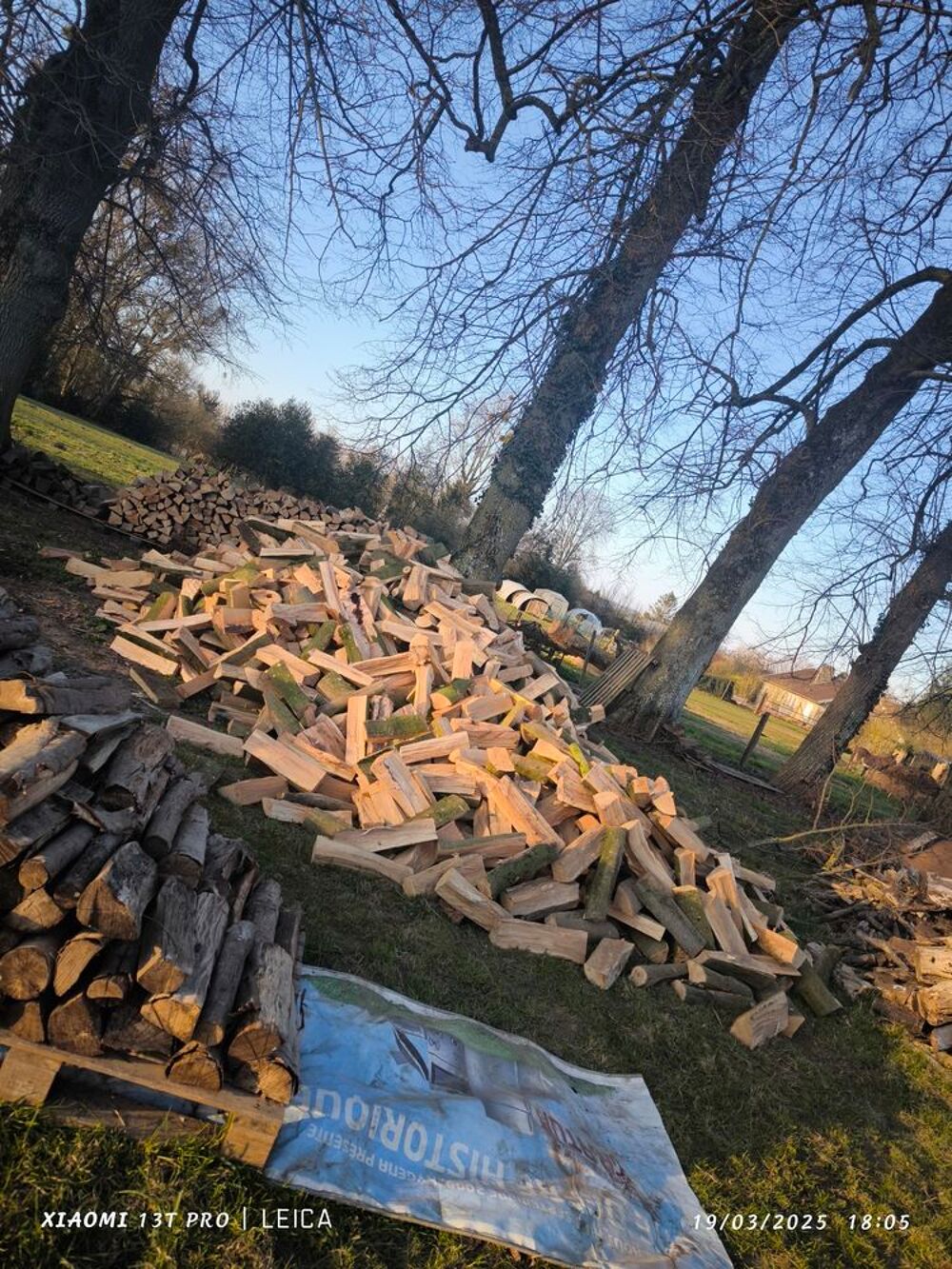 bois de chauffage Jardin