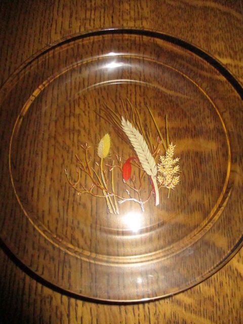 assiettes en verre marron fumé dont quelque unes avec motifs 0 Mérignies (59)