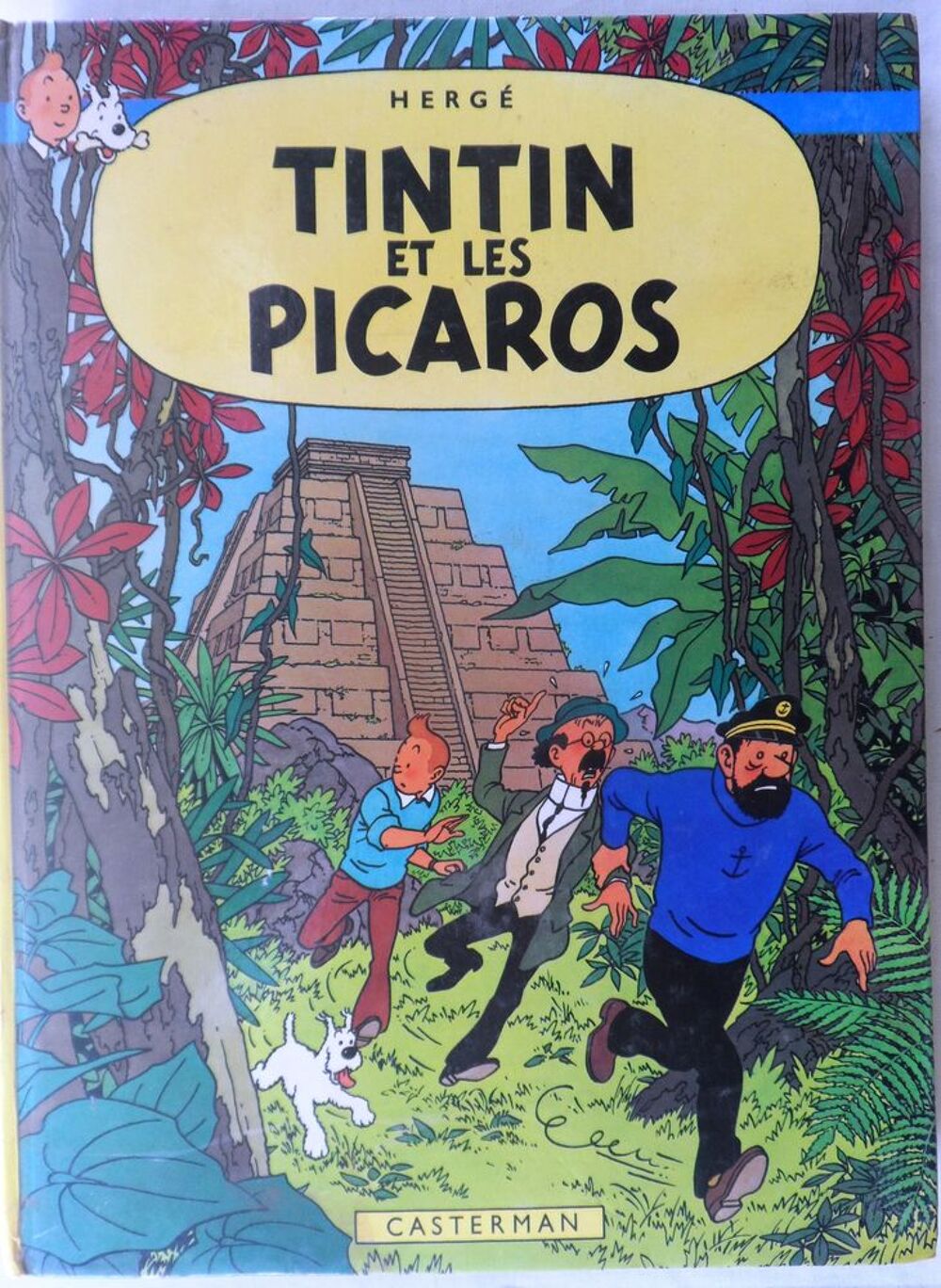 Lot des 22 albums de BD de Tintin en bon &eacute;tat Livres et BD