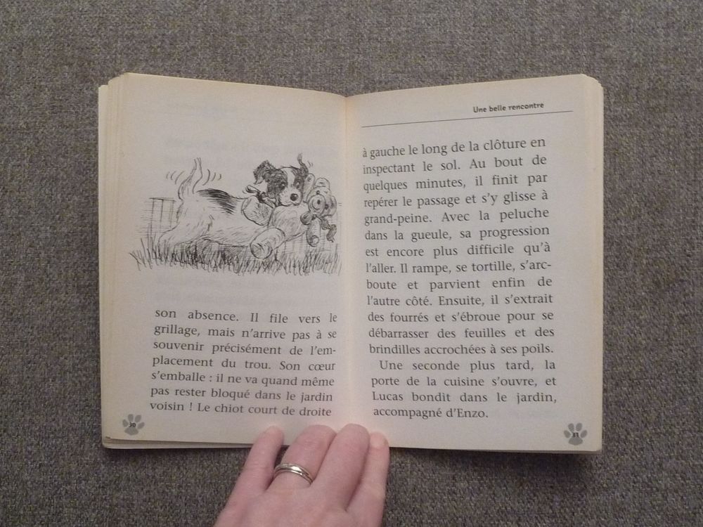 Jumper, Le Chiot Joueur- Jenny Dale- Bayard Jeunesse Livres et BD