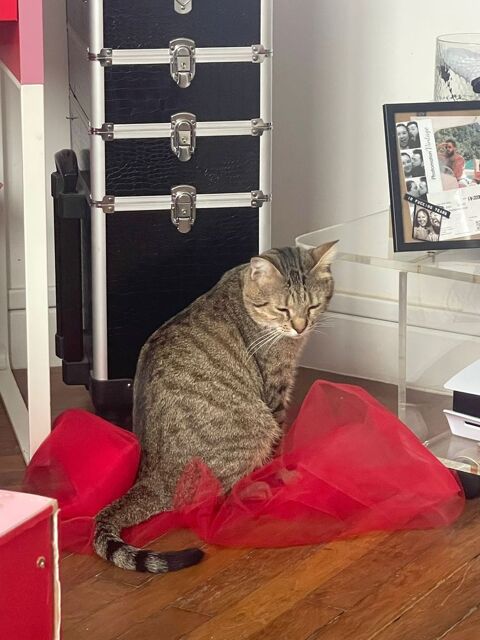 JULIEN 210 92400 Courbevoie