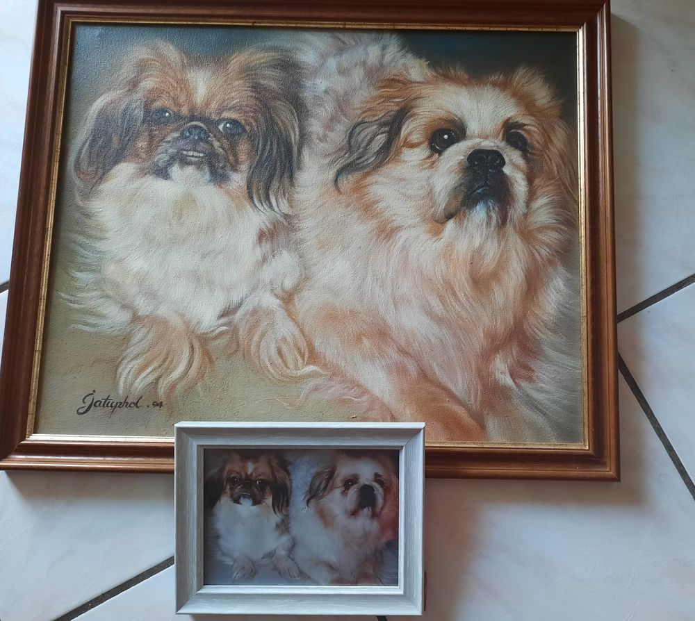 tableau peinture chiens race p&eacute;kinois - cr&eacute;ation unique 1994 Décoration