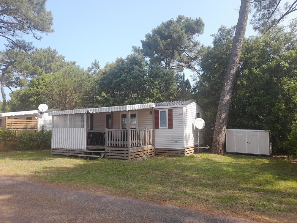  2021 occasion 17570 La Palmyre