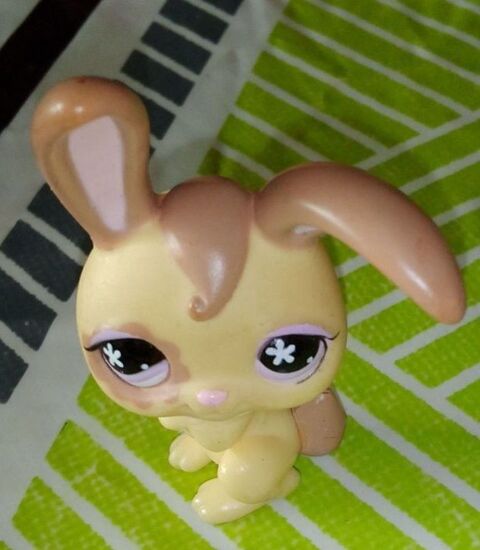 Figurine Petshop  en plastique    diff�rents modeles 8 Lampertheim (67)