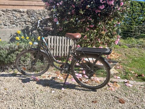  velo electrique 150 Le Tallud (79)