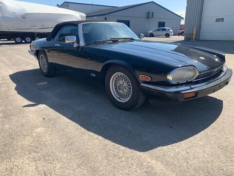 JAGUAR Voiture 1989 occasion Perpignan 66000