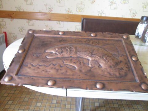 Tableau en cuivre 15 Castres (81)