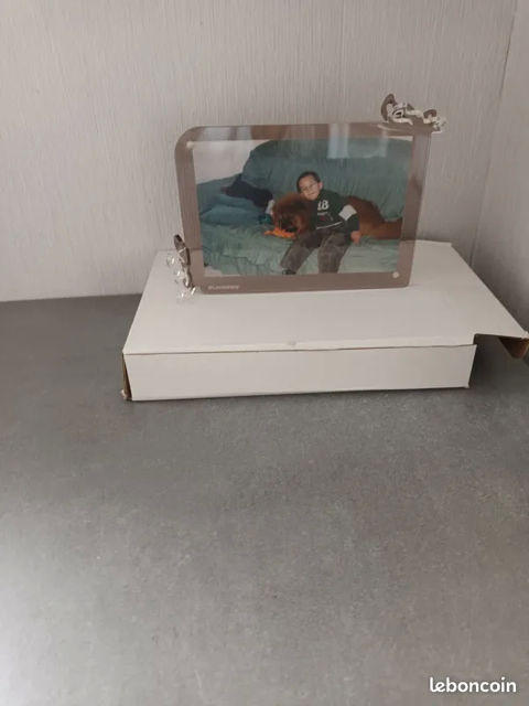 Cadre Horizontal en acrylique aimant� avec d�cor papillon  5 Romorantin-Lanthenay (41)