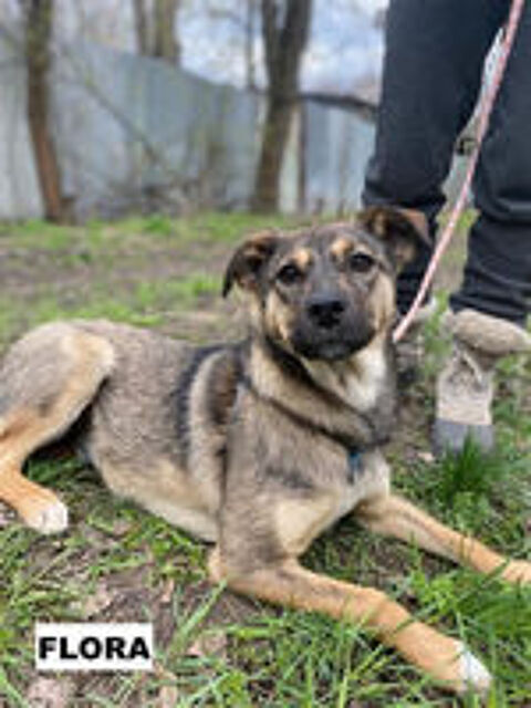   FLORA SE TROUVE DANS UN REFUGE EN UKRAINE 