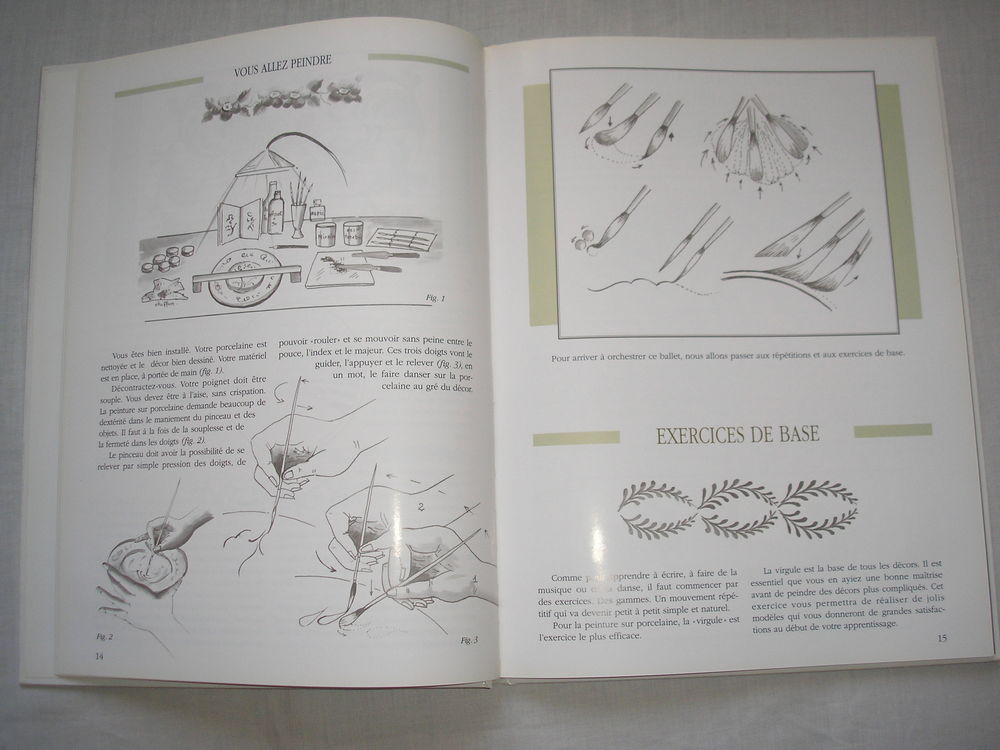 PEINTURE SUR PORCELAINE Livres et BD