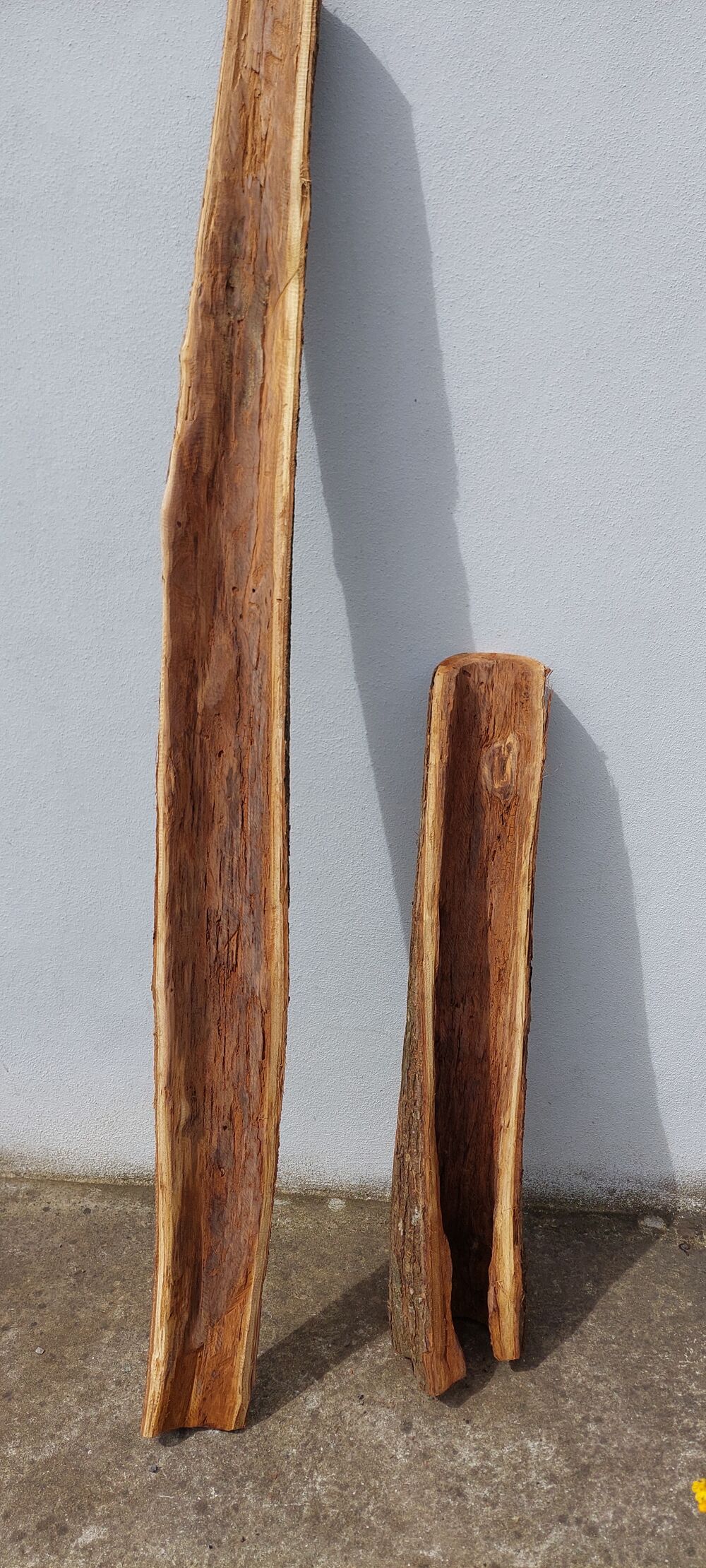 Diff&eacute;rents B&ucirc;ches et Troncs creux d&eacute;co Jardin