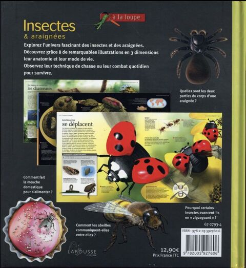 Les insectes et araignes 6 Toulouse (31)